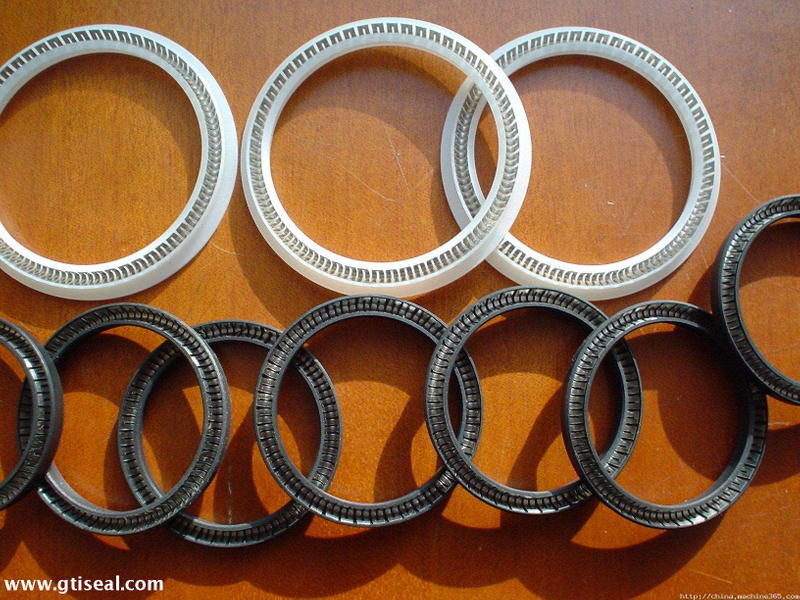 Spring Seal/ spring energized seal/ Variseal/PTFE