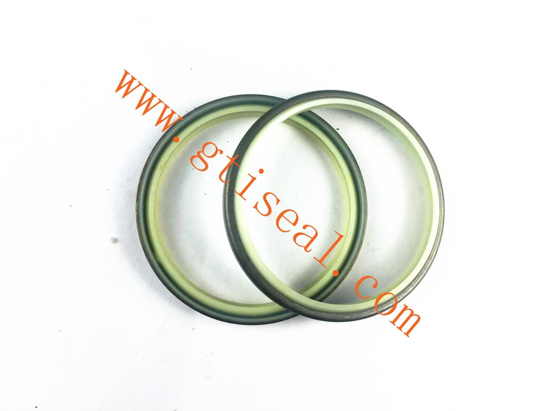 Mechanical Seal Different Type Energized PTFE Spring Seals