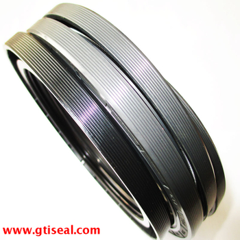 Low Price Iron Rubber National Oil Seal