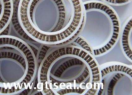 Spring Seal/ spring energized seal/ Variseal/PTFE