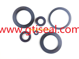 Rubber Seal Product FPM Oil Seal Good Price